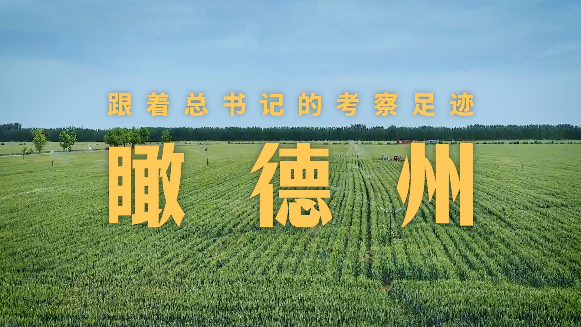 点击查看完整视频