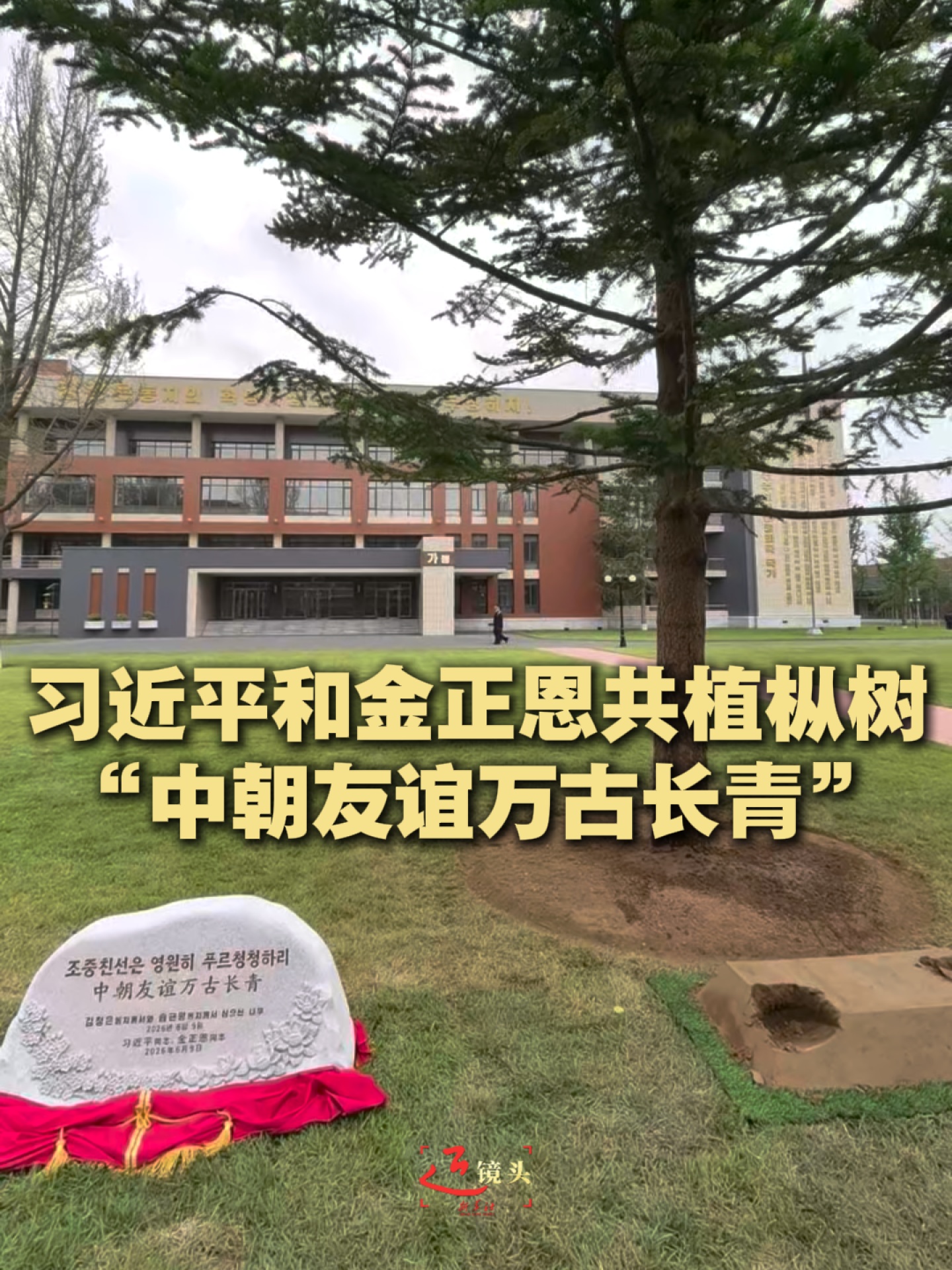 点击查看完整视频