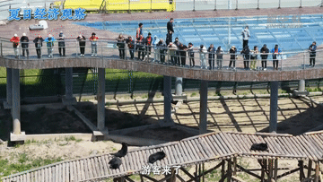 夏日经济观察｜“冷资源”如何释放“热效能”