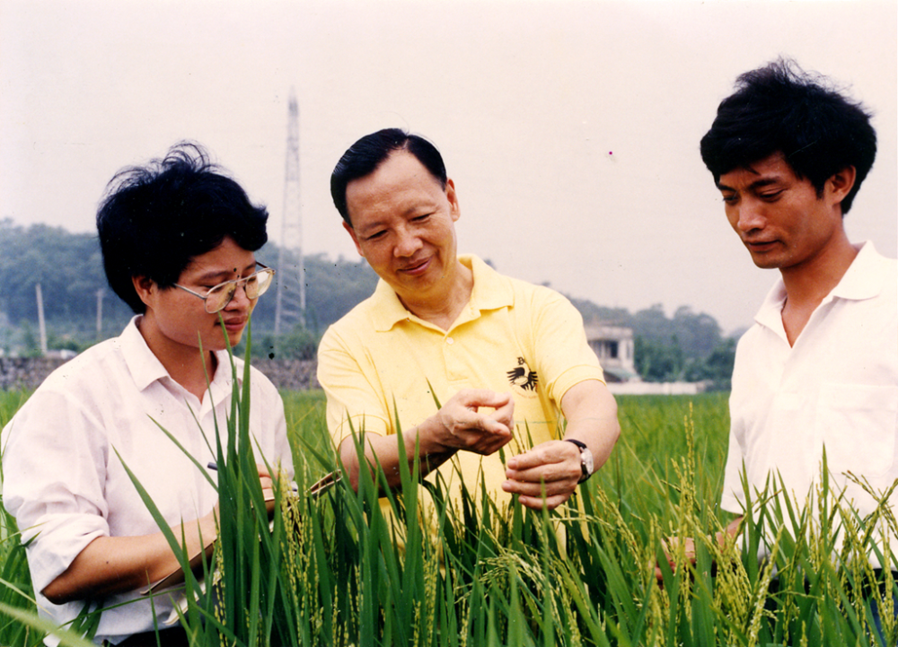 2000年，卢永根在水稻试验田指导博士研究生