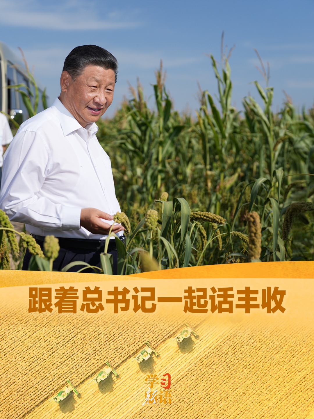 点击查看完整视频