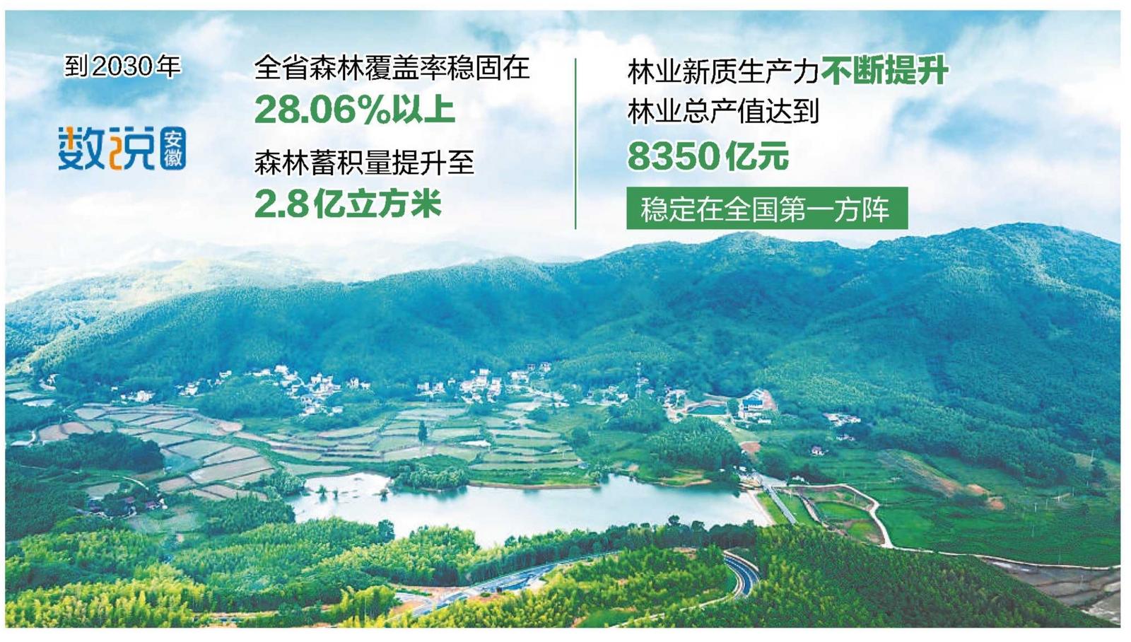 安徽发布林业保护发展"十五五"规划