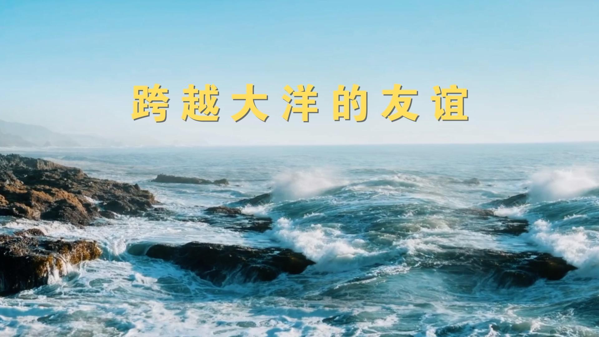 点击查看完整视频
