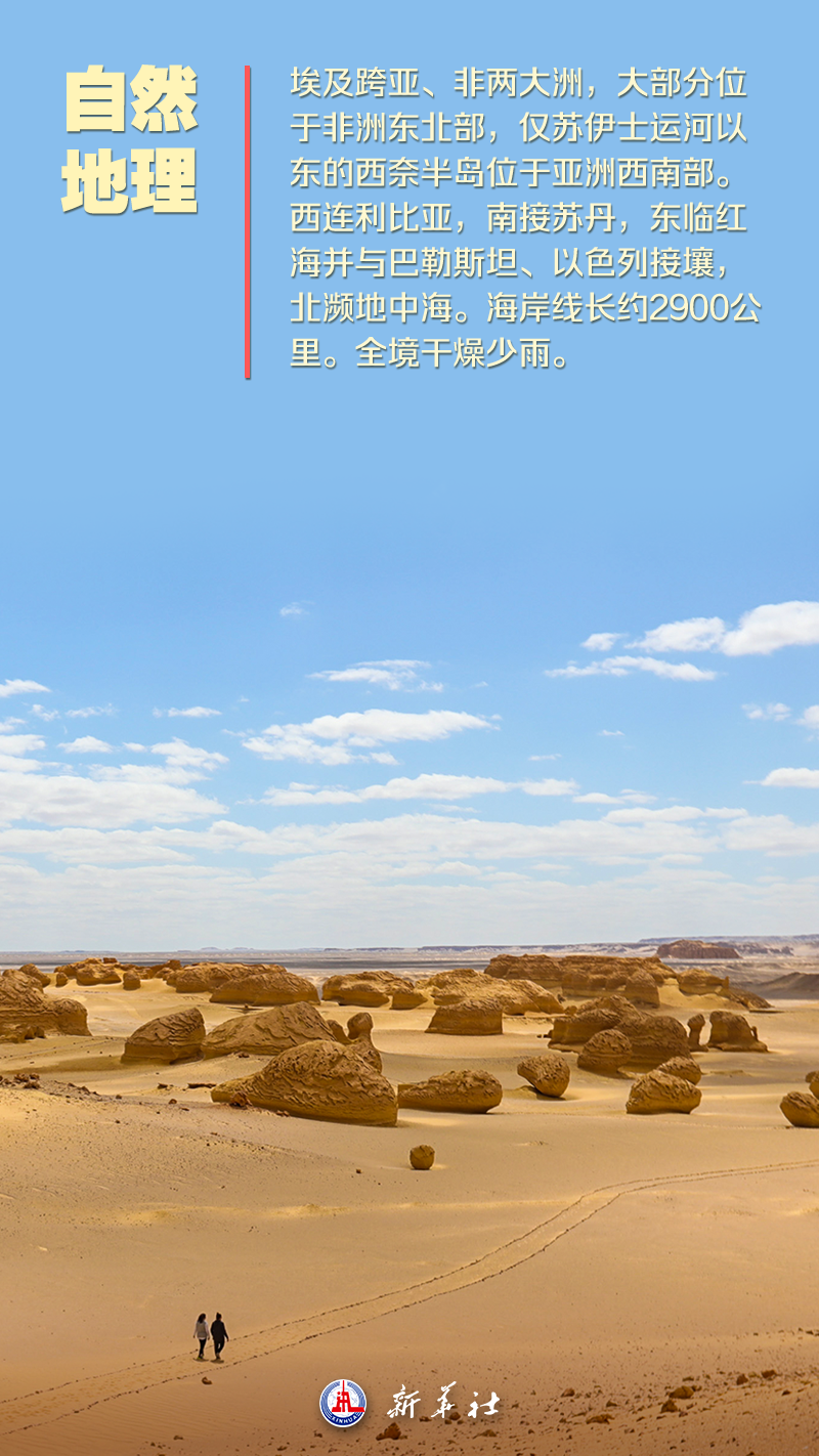 海报 
