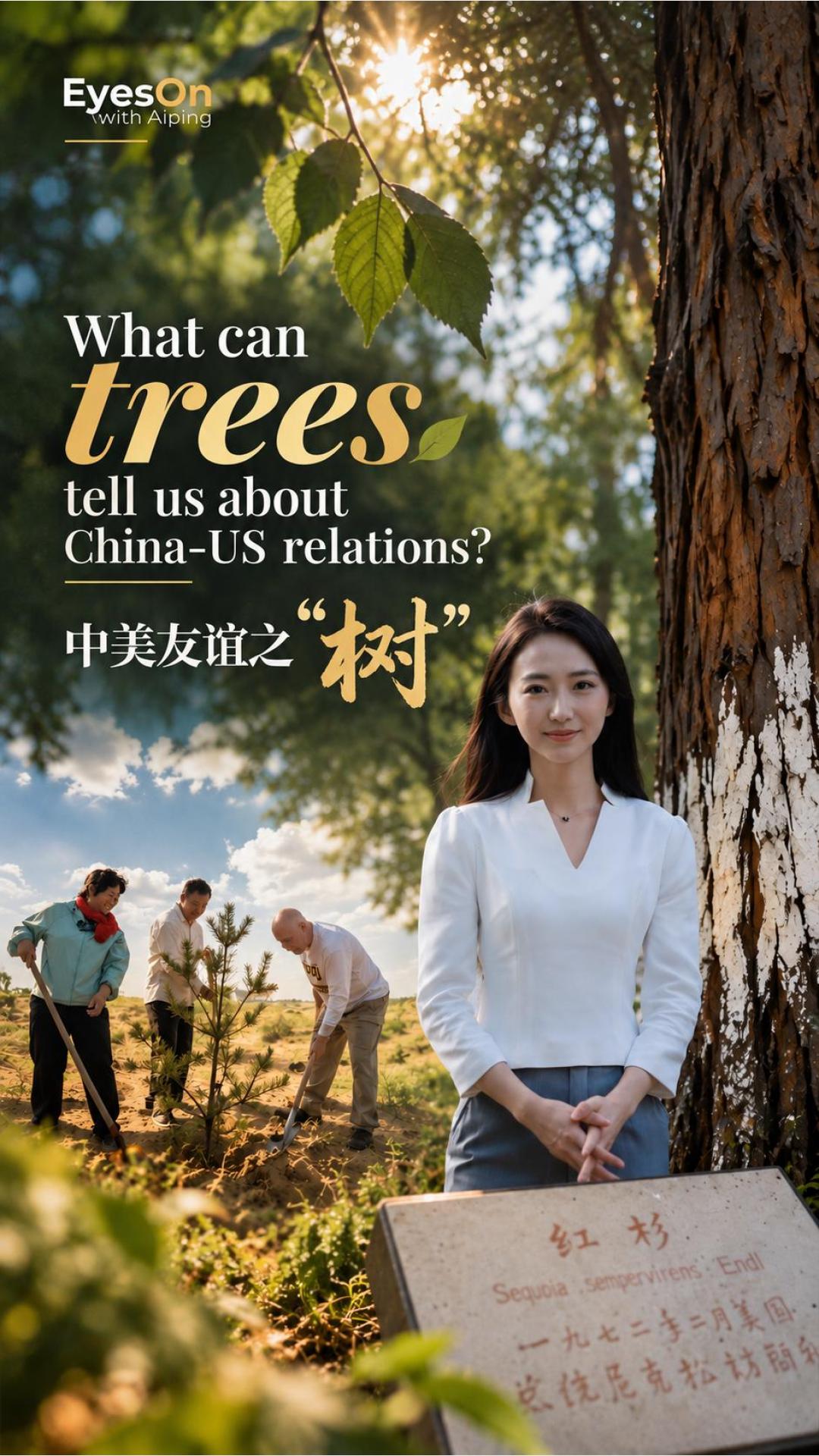点击查看完整视频