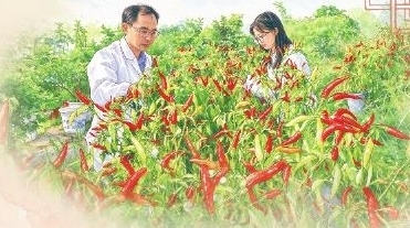赣椒“上新”不止于辣